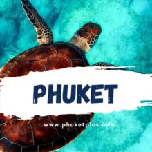 Пхукет🇹🇭Экскурсии🌴Недвижимость