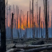 Militaryclip Telegram