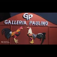Galleria Paulino 829-475-8976