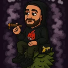 IBORRA TEST 🍯💨