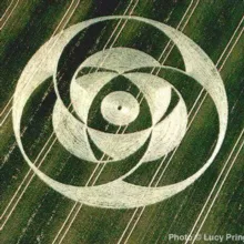 FOTOCOPIA, FOTOGRAFIA, DESCARGA Y DISTRIBUYE