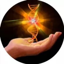 Доминантный признак|Наука и факты