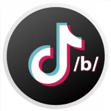 TikTok /b/