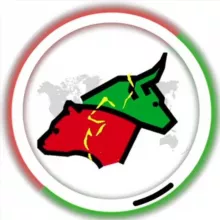 TIL Group | Трейдинг, Инвестиции, Обучение