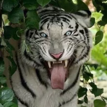 Жизнь на Земле 🌎