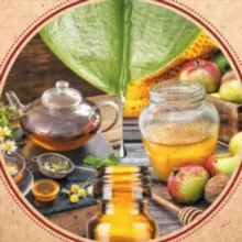 Домашний лекарь/ Семейная медицина