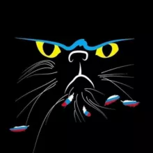 МАРТівський кіт | Новини Миколаєва