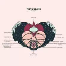 Женское здоровье 1.0 - Фабула Исаева