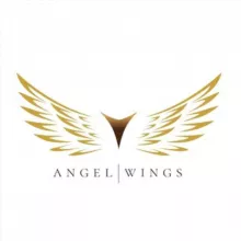 Angel Wings 🪽 | Инвестиции в бизнес