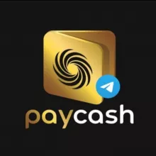 PayCash | Chat