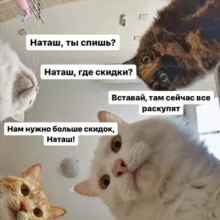 Скидки / Находки