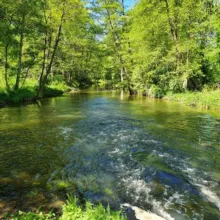 💚 VIA NATURA AKADEMIE - Zentrum & Akademie für Bewusstsein l Ernährung l Gesundheit l Heilung 💚
