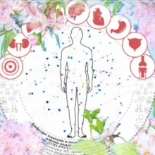 Школа полиморбидности