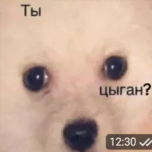 Смешные стикеры бесплатно😎😉