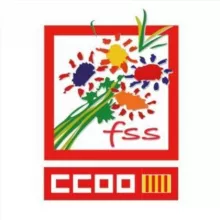 Canal empleo de la FSS CCOO PV