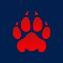 Красная |Z| рысь