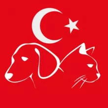 Турция с питомцем (собака, кошка и проч)