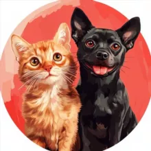 Кошечки & Собачки🐱🐶