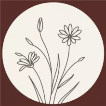 ВЫШИВКА | ТВОРЧЕСТВО | ВДОХНОВЕНИЕ |