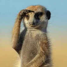 Кіра Єрьоміна