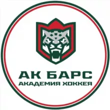 Академия хоккея «Ак Барс»