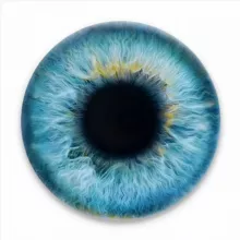 Глаз Цукера 🧿