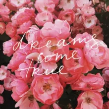 Inspire Your Instagram