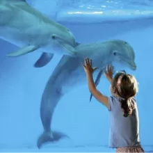 Pediatric Еxpert Sonography