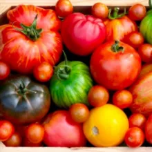 СЕМЕНА Красивого Сада