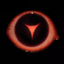 MÆTERS [͜m̢àd̸e̸ ̶ín̕ ̶u̶t͢r͢o͡b͟a̷]̷ | MAETERS