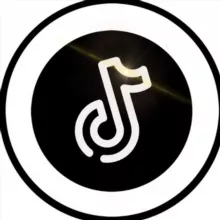 Тик Ток мод