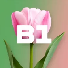 В1 — ПЕРВЫЙ ВЫБОР