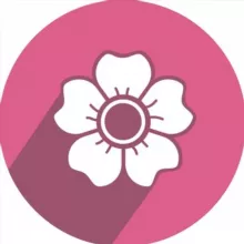 Афиша практик Красной Поляны