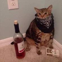 ezkizzz - эскизы татуировок