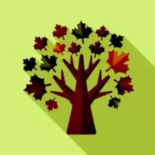 Кленовые Аллеи | канал