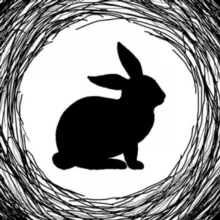 Кроличья нора