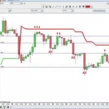Gruppo Traders Tartarughe
