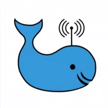 Курсы по ИТ.рф