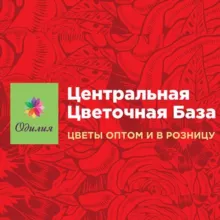 Центральная Цветочная База