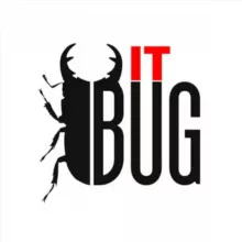 IT Bug (Основные сущности)