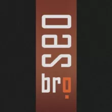 SEO бро