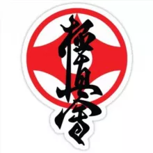 Киокушинкай карате | Kyokushinkai