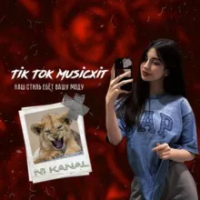 TIK TOK MUSICXIT 🎶