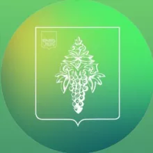 Чугуевский муниципальный округ