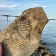 Афиша и все события. Ульяновск