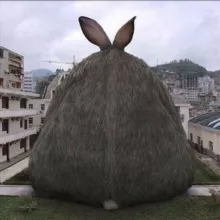 Зая нимолчи