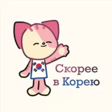 Скорее в Корею 🇰🇷