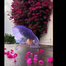 ❤️🥰🌷AYOL DARDI❤️🥰🌷