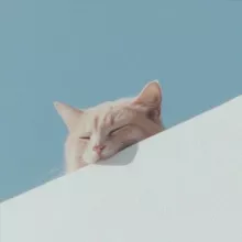 叮当喵喵-今天你也很可爱