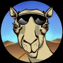 В стране туарегов